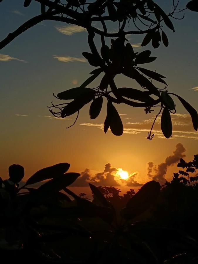 Finca Los Caballos มอนเตซูมา ภายนอก รูปภาพ