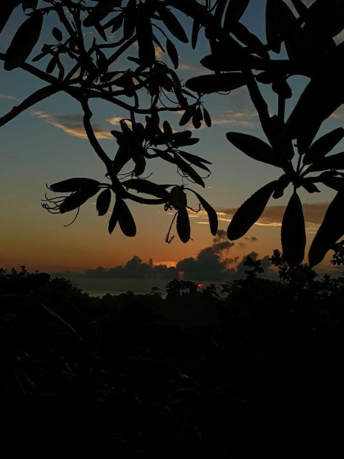 Finca Los Caballos มอนเตซูมา ภายนอก รูปภาพ
