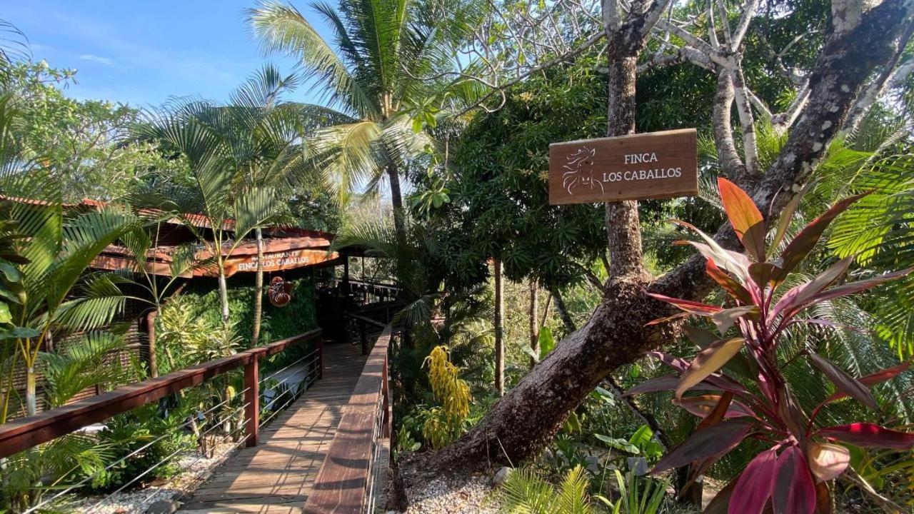 Finca Los Caballos มอนเตซูมา ภายนอก รูปภาพ